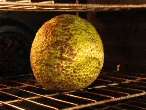 Roast Breadfruit in oven