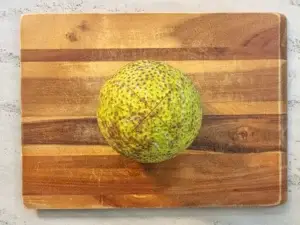 
crosscut Breadfruit