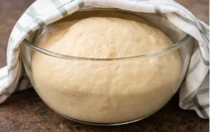 Coco bread dough rising in a bowl